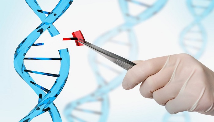 Genome editing by CRISPR technique