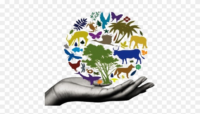biodiversity conservation techniques