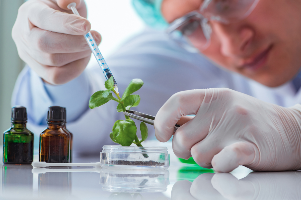 research on plant biotechnology