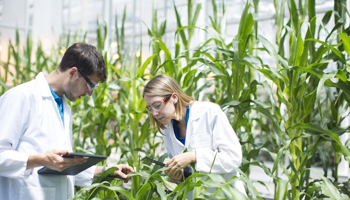 Research areas in plant biotechnology
