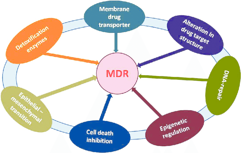mechanism of multidrug resistance in microbes