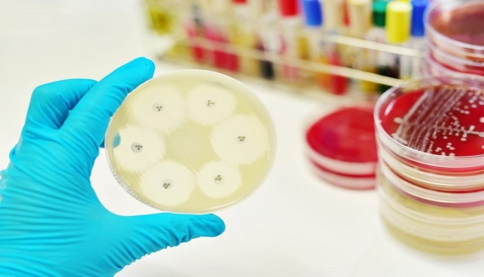 staphylococcus aureus an emerging multidrug resistant organism